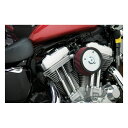 ARLEN NESS Stage 1 Big Sucker air cleaner kit. Custom cover | 959565