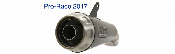 Arrow Street Nichrom Pro-Race Silencer、ECE同化 | 71916PRIR