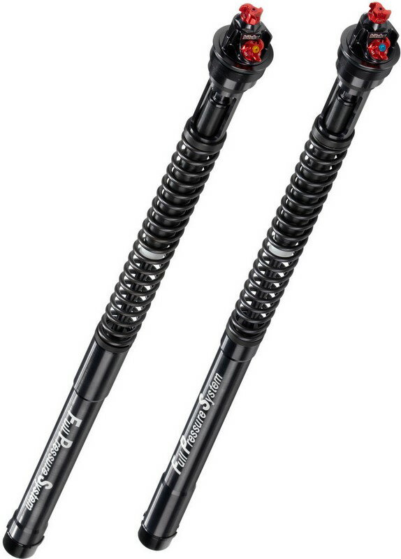 Bitubo / ビチューボ S.R.L. FRT ショック KAWASAKI | K0098ECH29