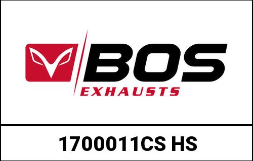 BOS / ボス SSEC RR + ヒートシールド スリップオンエキゾースト EG (Euro 4) カーボンスチール BMW S | 1700011CS-HS