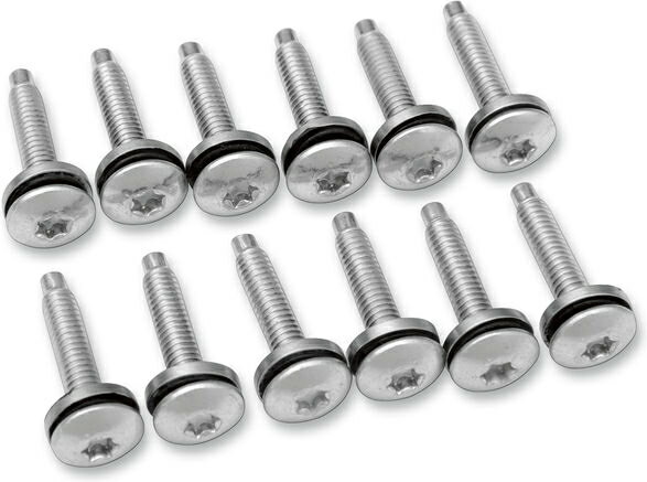 Drag / hbOXyVeB[Y SCREW EFI MNT(1331) 12PK | MPBDR14