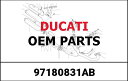 Ducati / ドゥカティ純正商品 Bigger ヘッドライトフェアリング | 97180831AB(2)