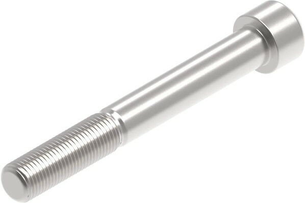 Evotech Performance Evotech Performance- EP M12 x 95 x 1.25mm Pitch Caphead - 316 S/S | PRN014212