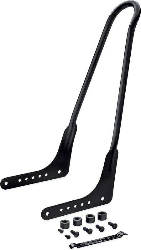 ハーレーダビッドソン ワンピース トール リジッドマウント シーシーバー 18年以降 FLDE グロ