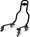 Harley-Davidson Kit-Bkrst-Pass-Standard-Black | 52300700