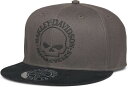 Harley-Davidson Willie G Fitted Cap For Men- Blackened Pearl | 99406-22VM