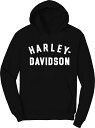 Harley-Davidson Hoodie-Knit- Black Beauty | 99010-23VW
