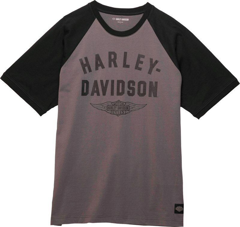 Harley-Davidson Men'S Staple Winged Raglan- Colorblock-Design-Blackened Pearl | 96336-23VM