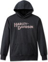 Harley-Davidson Hoodie-Knit- Black Beauty | 96892-23VW