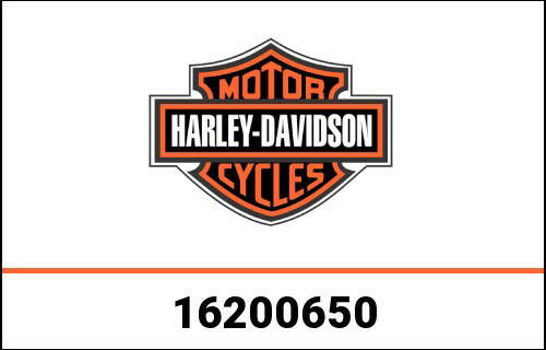 ハーレーダビッドソン エンジンアッシー-107-FLFB 16200650 | 16200650