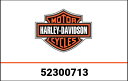ハーレーダビッドソン パッド、BKRST、SISSY BAR、LOW PROFIL 52300713 | 52300713
