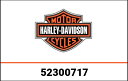 ハーレーダビッドソン サポート STRUCT、BKRST、RAIL、CHRO 52300717 | 52300717