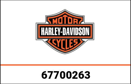 ϡ졼ӥåɥ إåɥ  67700263 | 67700263