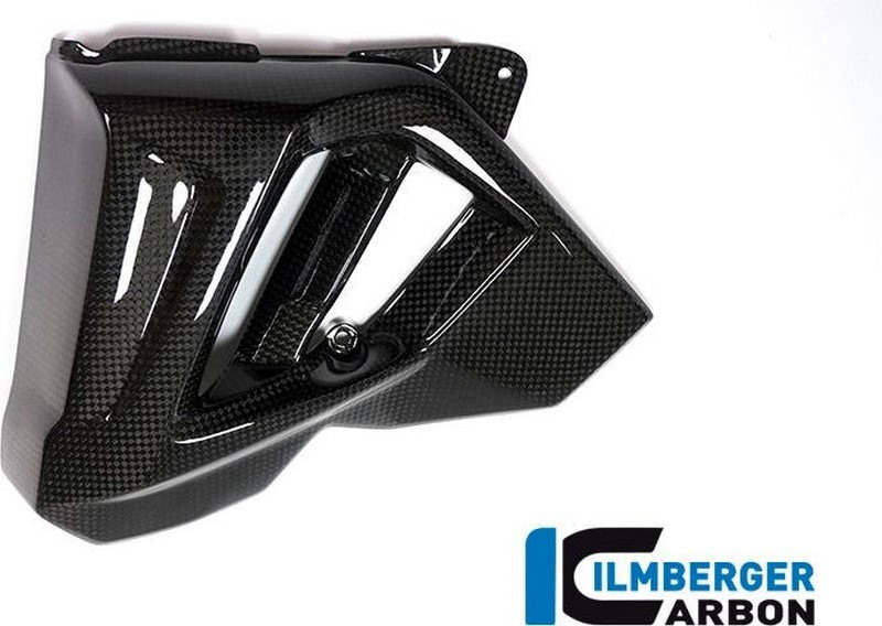 ILMBERGER / イルムバーガーカーボンパーツ ラジエーターカバー 左側 - BMW F 800 R (2015-) - WKL.103.F8R15.K | WKL.103.F8R15.K