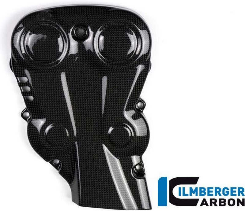 ILMBERGER / イルムバーガーカーボンパーツ バーティカル（縦） カムベルトカバー - Ducati Monster