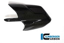 ILMBERGER / イルムバーガーカーボンパーツ エキゾーストプロテクター Ducati MTS'15 - AHS.010.D15M
