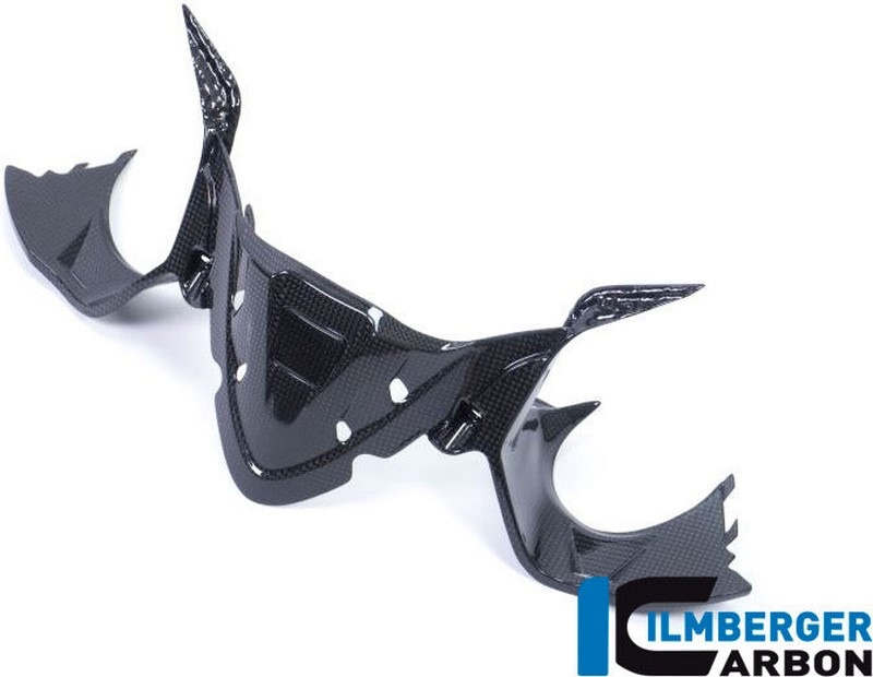 ILMBERGER / イルムバーガーカーボンパーツ GPSインストルメントパネル グロス Ducati パニガーレ