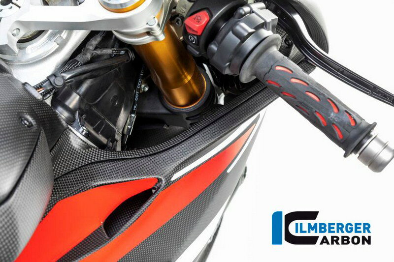 ILMBERGER / イルムバーガーカーボンパーツ エアチューブカバー 右 マット Panigale V4 / V4 S | WAR.129