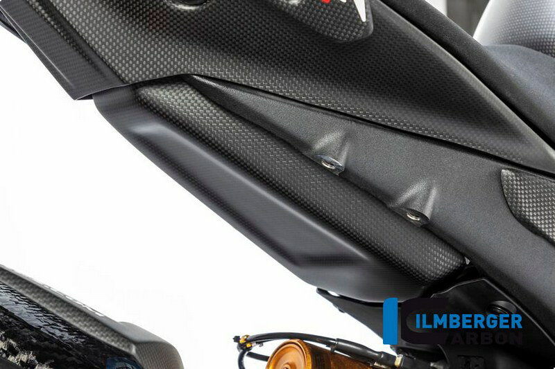 樂天商城 - ILMBERGER / イルムバーガーカーボンパーツ タンクプロテクション マット Panigale V4 Racing | TAU.158.