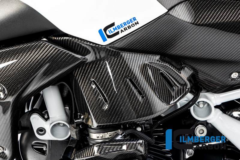 Ilmberger / イルムバーガーカーボンパーツ サイドパパネル (タンク) 左 BMW R 1250 R (LC) 2019 | TUL.012