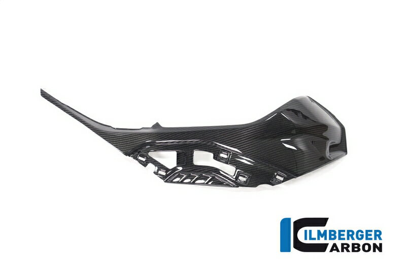 Ilmberger / イルムバーガーカーボンパーツ タンクサイドパネル 右 OEM Panel BMW S 1000 RR Street 2019 |
