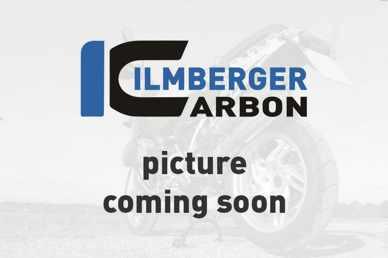 Ilmberger / イルムバーガー フェアリング サイドパネル 右 グロス (ウイングレット対応品) Paniga