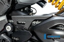ILMBERGER / イルムバーガーカーボン チェーンガード Ducati ディアベル V4 2023- マット | KEH.114.DI23M.K