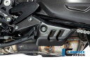 ILMBERGER / イルムバーガーカーボン エキゾーストカバー 左 Ducati ディアベル V4 2023- マット | ACL.105.DI23M.K