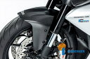 ILMBERGER / イルムバーガーカーボン フロントフェンダー Ducati ディアベル V4 2023- マット | KVO.122.DI23M.K
