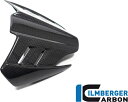 ILMBERGER / イルムバーガーカーボン ウィンドシールド Ducati ディアベル V4 2023- グロス | VEO.023.DI23G.K