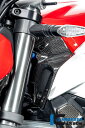 ILMBERGER / イルムバーガーカーボン エアチューブカバー 左 グロス Ducati ストリートファイター | WAL.009.V2SFG.K