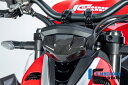 ILMBERGER / イルムバーガーカーボン インストルメントカバー グロス Ducati ストリートファイタ | AMA.003.V2SFG.K