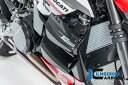 ILMBERGER / イルムバーガーカーボン ラジエーターカバー 右 グロス Ducati ストリートファイター | WKR.005.V2SFG.K