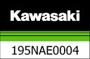 Kawasaki / カワサキ TOMTOM RIDER 550 | 195NAE0004
