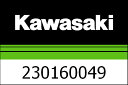 Kawasaki / カワサキ ランプ-アッシー-FI ワーニング | 230160049