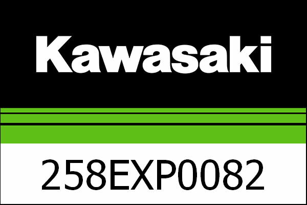 Kawasaki / 掠 AKRAPOVIC ǥ奢  T | 258EXP0082