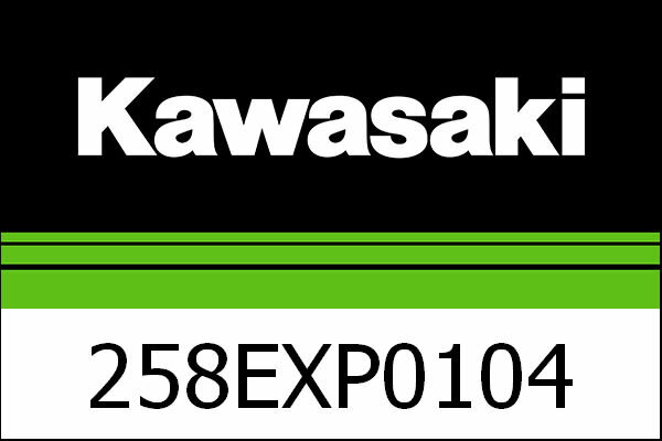 Kawasaki / カワサキ エグゾースト カーボン ZX-10R EU | 258EXP0104