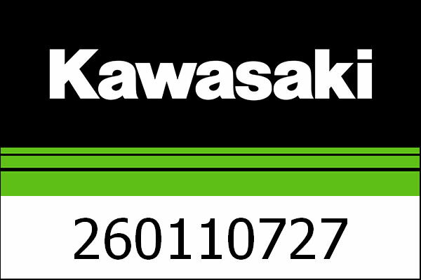 Kawasaki / カワサキ ワイヤーリード- グリーン | 260110727