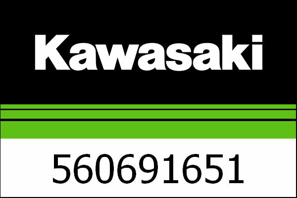 Kawasaki / カワサキ パターン-ホイール-シルバー | 560691651