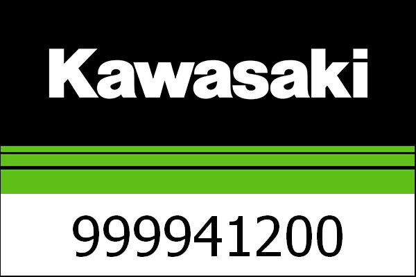 Kawasaki / カワサキ ニーパッド | 999941200