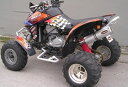 Marving マービングマフラー Single Small Oval Quad Atv Line アルミ (クワッド・4輪バイク)DS 650 2005-(2)