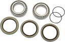 Pivot Works Bearing Whl Rr P10-000 | PWRWK-P10-000