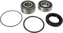 Pivot Works Bearing Rr Whl H12-000 | PWRWS-H12-000