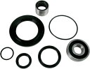 Pivot Works Bearing Rr Whl Y08-000 | PWRWS-Y08-000