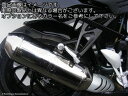 Powerbronze - パワーブロンズ ハガー BMW K1200R/K1200S/K1300R/K1300S −カーボンルック− ...