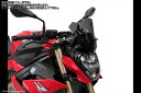Powerbronze / パワーブロンズ Airflows for BMW S1000R 21-23 (230 MM HIGH)/RED | 400-B113...