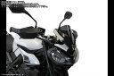 Powerbronze / パワーブロンズ Light Screen for TRIUMPH STREET TRIPLE R/STREET TRIPLE RS/STREET TRIPLE MOTO2 23 (230 MM HIGH)/DARK TINT | 430-U349-002(2)
