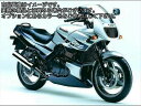 Powerbronze / パワーブロンズ ヘッドライト プロテクター KAWASAKI GPZ500S 94-03 アンバー | 440-K056-007(2)