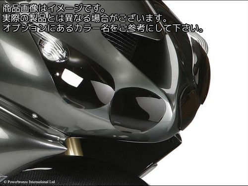 Powerbronze / パワーブロンズ ヘッドライト プロテクター KAWASAKI ZZR1400 06-11 LOCKS) | 440-K448-000