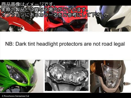 Powerbronze / パワーブロンズ ヘッドライト プロテクター KAWASAKI ZZR1400 06-11 LOCKS) | 440-K448-001
